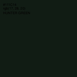 #111C14 - Hunter Green Color Image